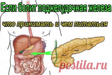 4 самых простых и эффективных рецепта для лечения поджелудочной железы, о которых врачи умалчивают - Что хочет женщина