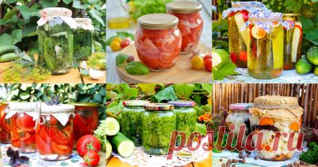 Соленья засолка на зиму: 217 рецептов Соленья - быстрые и простые рецепты для дома на любой вкус: отзывы, время готовки, калории, супер-поиск, личная Рецептосохранялка