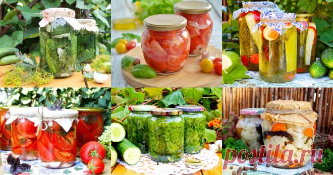 Соленья засолка на зиму: 217 рецептов Соленья - быстрые и простые рецепты для дома на любой вкус: отзывы, время готовки, калории, супер-поиск, личная Рецептосохранялка