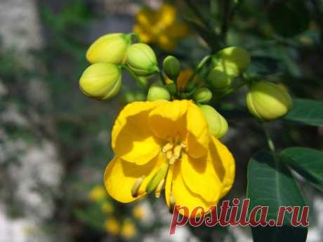 Лето | Фотографии Ксюша Ксюшина | 201 фото