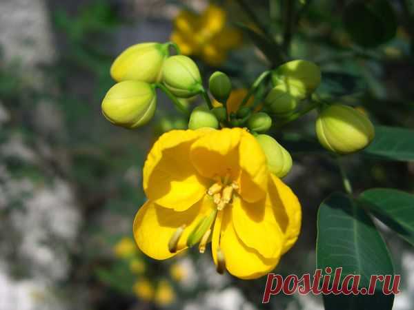 Лето | Фотографии Ксюша Ксюшина | 201 фото