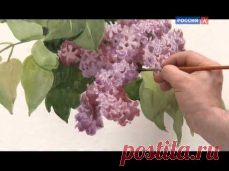 С.Андрияка. Уроки рисования. Сирень (ls)