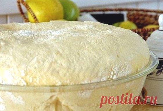 «Пуховое тесто». Быстрое прекрасное тесто для любой выпечки! Из него  можно печь абсолютно все: пиццу, пирожки, булочки. Но самое главное: тесто получается всегда