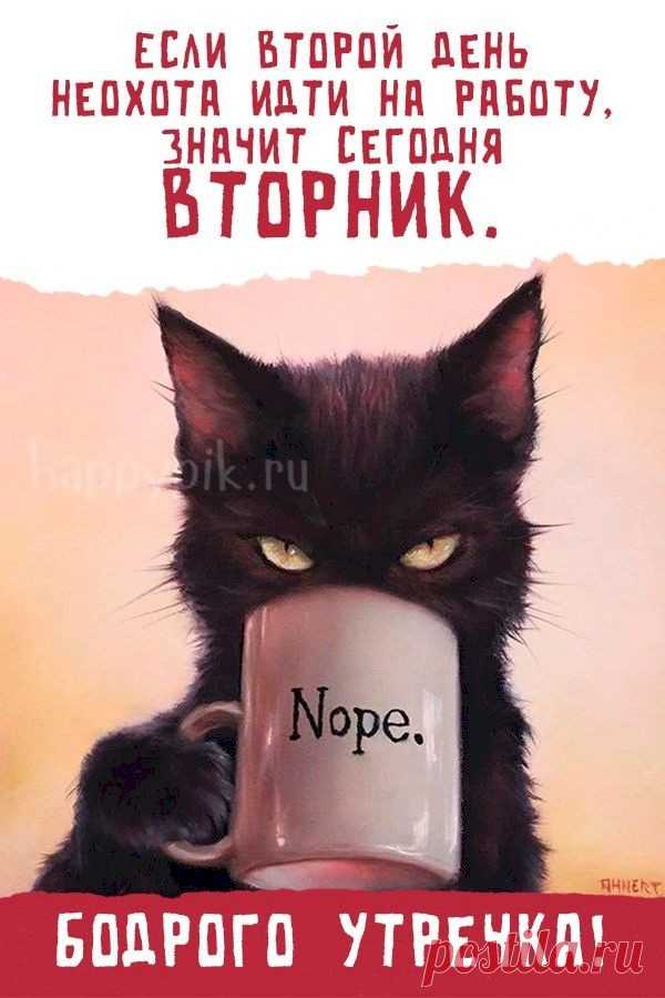 Выпуск №6384 - выпуск анекдотов сайта вокруг смеха