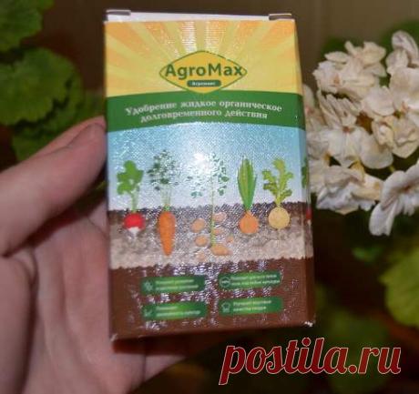 Agro - портал о садоводстве