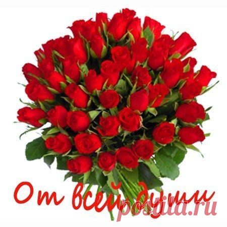 Вера Омельянович