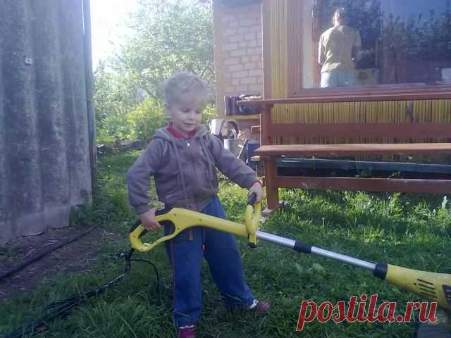 Школа садоводов Андрея Туманова
сергей яковлев