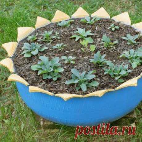 Вазон из колеса
