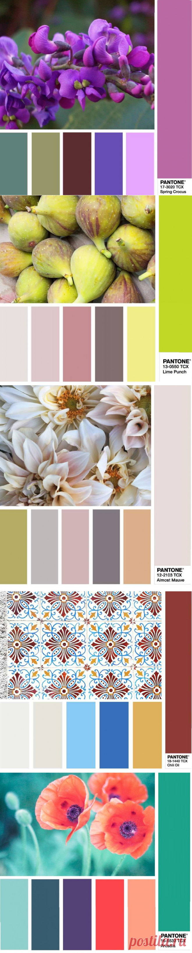 12 самых стильных сочетаний цветов весной 2018 — WB-Club