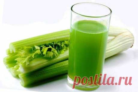 Интересные новости О ПОЛЬЗЕ СЕЛЬДЕРЕЯ ДЛЯ ЖЕНСКОГО ЗДОРОВЬЯ