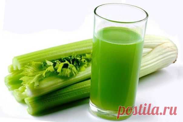 Интересные новости    О ПОЛЬЗЕ СЕЛЬДЕРЕЯ ДЛЯ ЖЕНСКОГО ЗДОРОВЬЯ