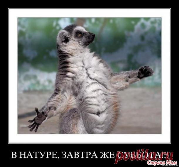 Ура-а-а-а-!!! - А ты сегодня улыбался? - Страна Мам