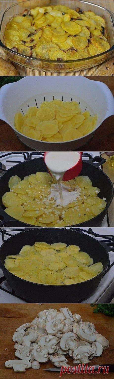 Как приготовить блюдо &quot;картошка с грибами в сметане&quot; - рецепт, ингридиенты и фотографии | sloosh