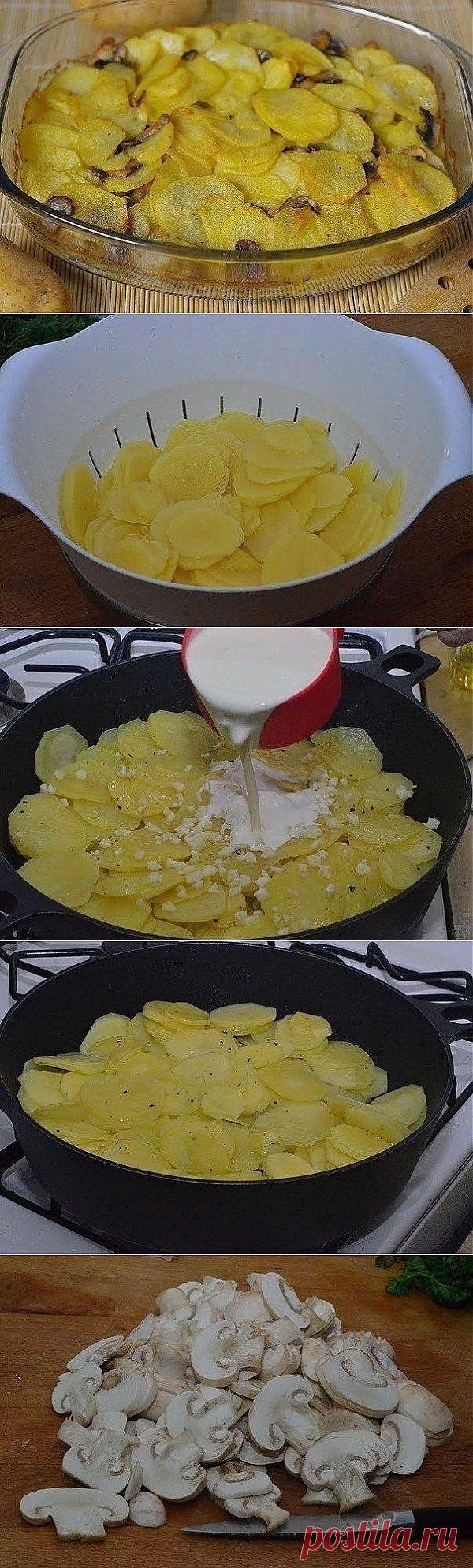 Как приготовить блюдо "картошка с грибами в сметане" - рецепт, ингридиенты и фотографии | sloosh