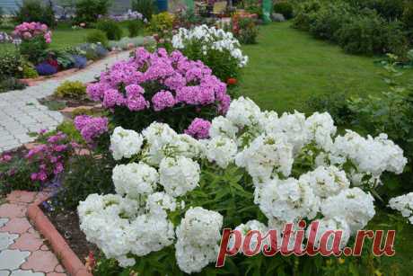 Оформление сада!