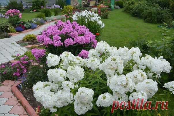 Оформление сада!