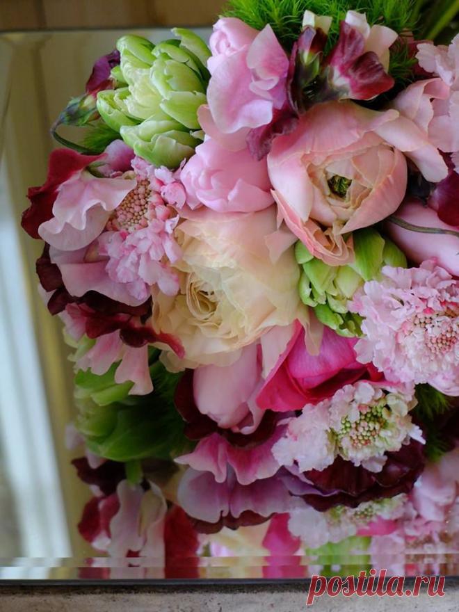 флористика