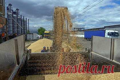 Посольство России упрекнуло США из-за зерновой сделки. Посольство России в Вашингтоне обвинило США в замалчивании информации о «реальных выгодоприобретателях» украинской части зерновой сделки. По словам российских дипломатов, госдеп США продолжает распространять сообщения «о якобы саботаже российской стороной работы "черноморской инициативы".