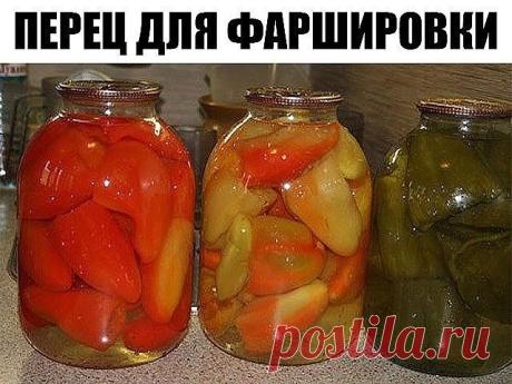 ПЕРЕЦ ДЛЯ ФАРШИРОВКИ  
 
Люблю я консервированный перчик на зиму. Перцы практически не теряют своей формы, вкуса и цвета . Делать легко, не хлопотно.  
 
Болгарский перец нужно очистить от семян и залить кипятком на 15 мин. Он станет мягким и тогда его будет легко сложить в банки. Помещаем перец в банки.