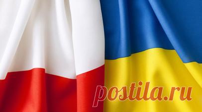 В Польше ожидают от Украины объяснений из-за обысков у Ермака. Варшава ожидает от Киева объяснений в связи с ситуацией вокруг обысков у главы офиса Владимира Зеленского Андрея Ермака, заявил вице-премьер, министр национальной обороны Польши Владислав Косиняк-Камыш. Читать далее