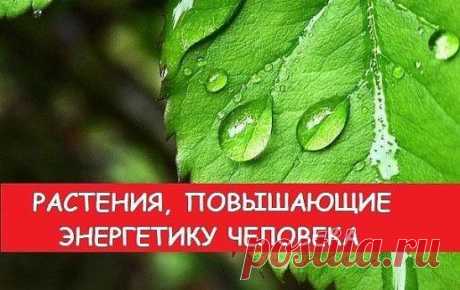 (60) Одноклассники