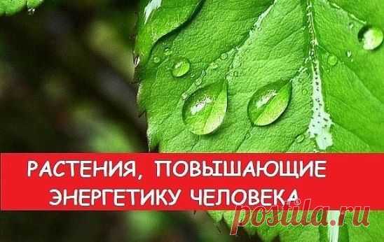 (60) Одноклассники