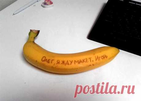 Как говорится, работа не волк — в лес не убежи | Чёрт побери