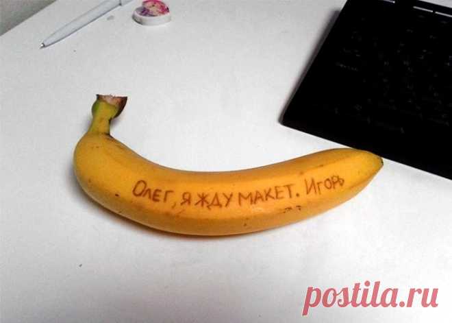 Как говорится, работа не волк — в лес не убежи | Чёрт побери