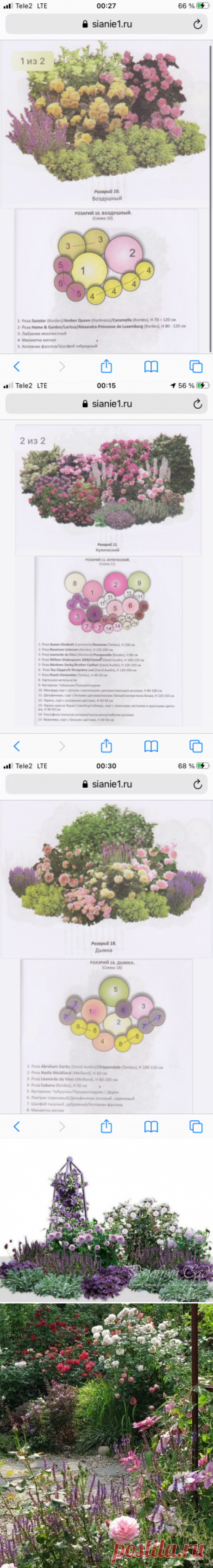 (1723) Pinterest