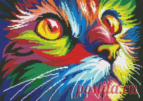 Gallery.ru / Радужный котик - Радужное - Norsvet