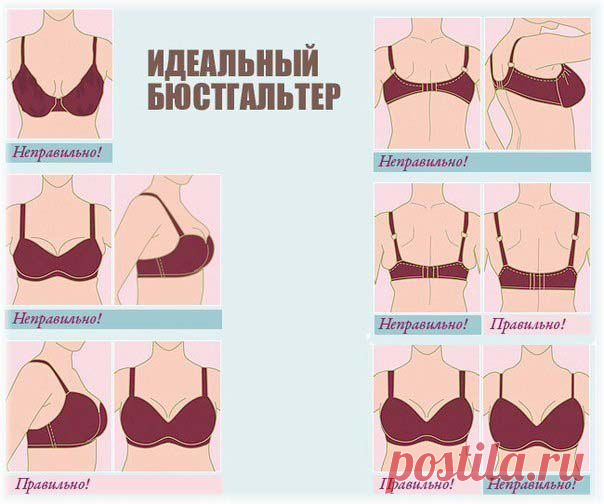 Мода-образы и советы