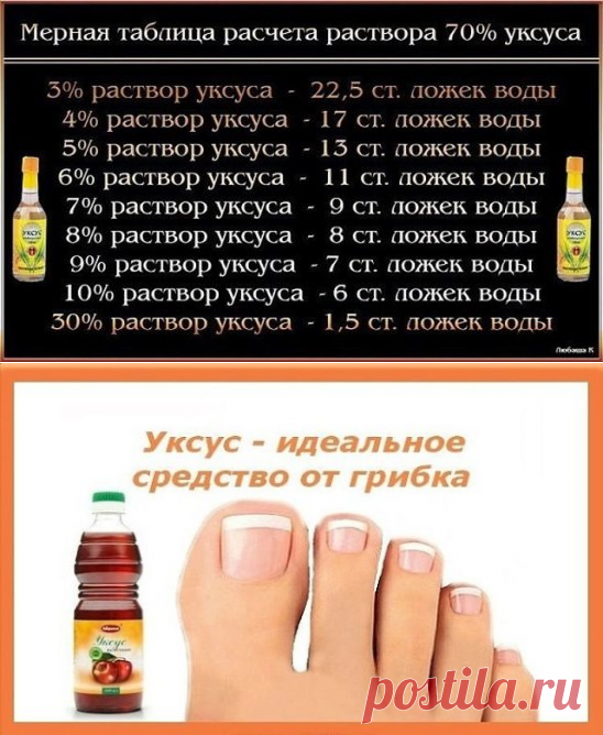 (5) Одноклассники