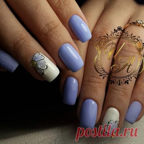 Кто любит ромашки ???