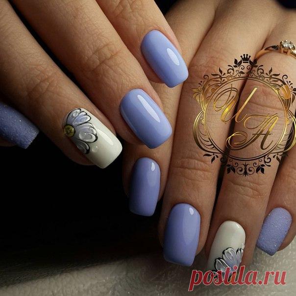 Кто любит ромашки ???