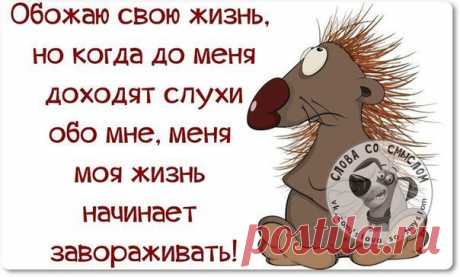 Новости