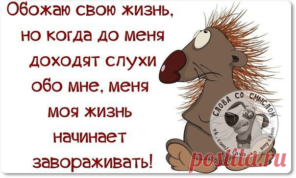 Новости