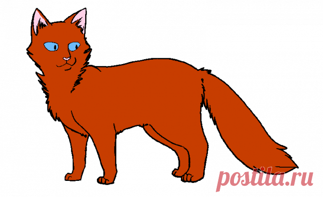 Картинки о Котах-Воителях (36 фото) ⭐ Забавник