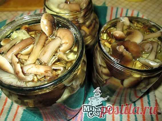 МАРИНОВАННЫЕ ОПЯТА
