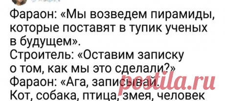 20+ шутливых твитов о науке, которые станут проверкой вашей образованности