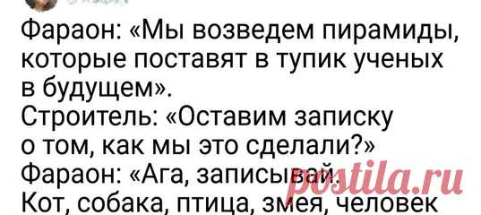 20+ шутливых твитов о науке, которые станут проверкой вашей образованности