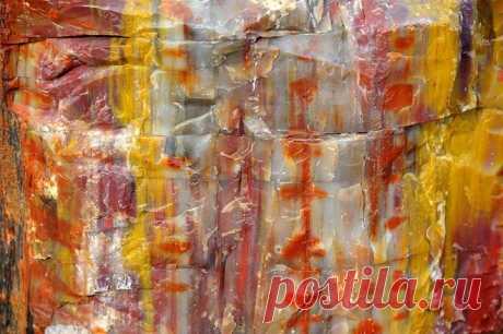 Окаменевший лес Аризоны - Путешествуем вместе