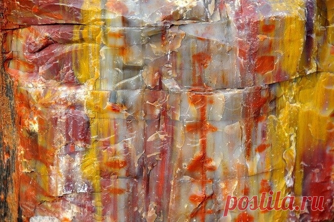 Окаменевший лес Аризоны - Путешествуем вместе