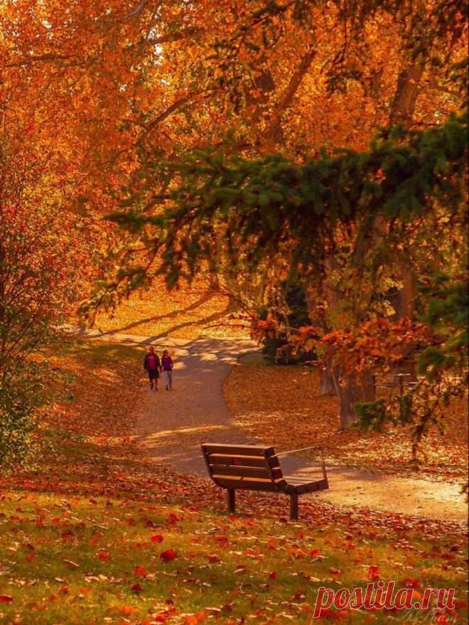 Пин на доске Benches