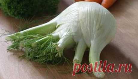 Фенхель и укроп – в чем же сходство
===============================================
Фенхель, также как и укроп относится к семейству зонтичных. Их соцветия собраны в небольшие зонтики, которые группируются в один большой зонтик.
Оба растения имеют достаточно ощутимую высоту (от 1 до 2 метров). Единственно, фенхель более кустистое растение.
Фенхель, укроп можно вырастить на приусадебном участке. Причем выращивают эти растения как однолетники.
Как фенхель, так и укроп получи...