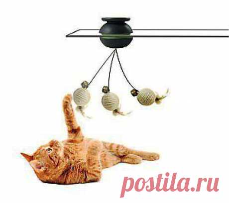 Живая игрушка для кошки