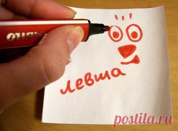 Интересные факты о левшах — Интересные факты