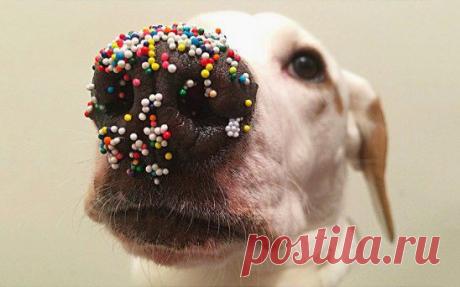 Фото дня. &quot; Пасха на носу &quot;