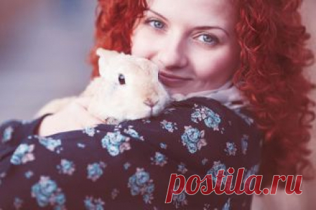 Интересные факты о зайцах для детей и взрослых » Notagram.ru 10 интересных научных фактов о зайцах. Факты о зайцах для детей. Почему зайчихи кормят чужих зайчат и другие любопытные события в жизни "косого".