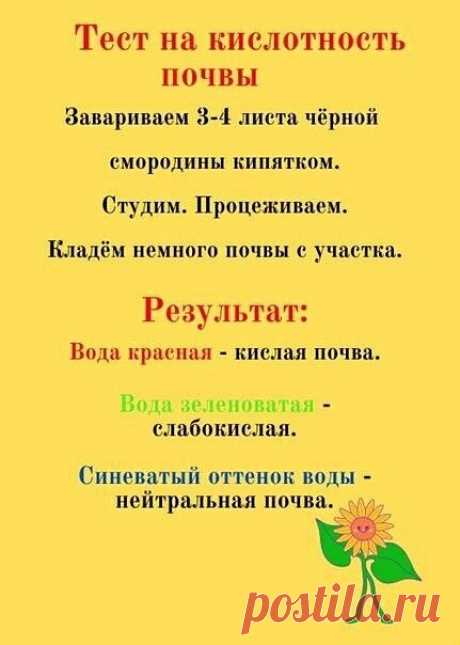 Тест на кислотность почвы