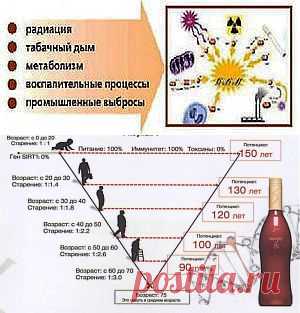 Зашлаковка, токсины, интоксикация.